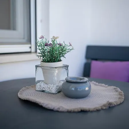 House Saraden * Zadar