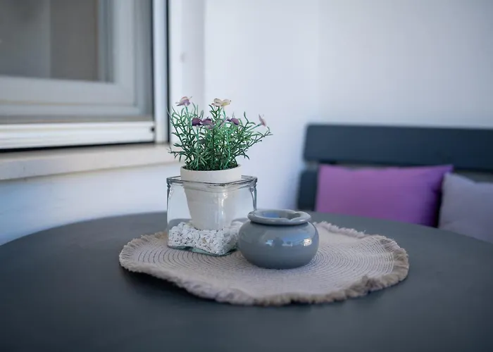 House Saraden * זאדאר